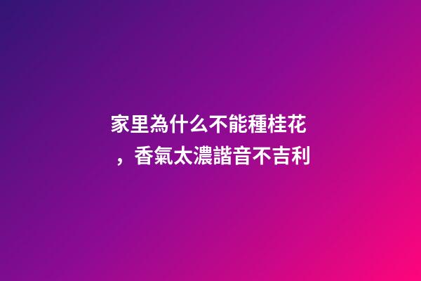 家里為什么不能種桂花，香氣太濃諧音不吉利